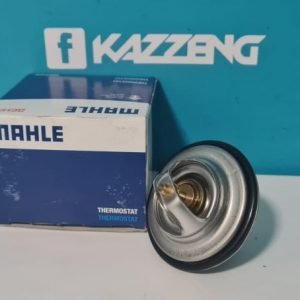 M20 M50 M52 Thermostat (71° C)
